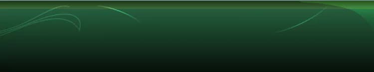 background category section